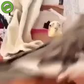 360x360