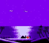 256x224
