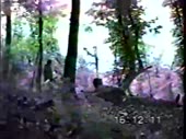 480x360
