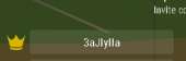 300x100