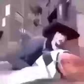 360x360