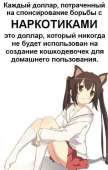 386x604