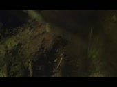 480x360