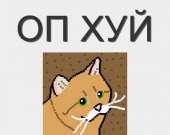 170x135