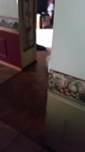 406x720