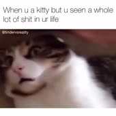 360x360