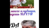 1392x800