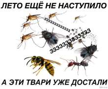 800x660