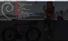 1280x768