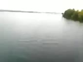 320x240
