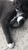 640x1138
