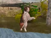 480x360