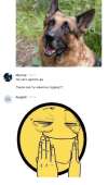 436x735