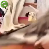 360x360
