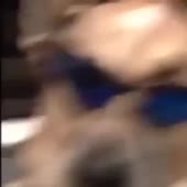 360x360