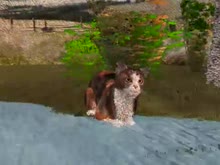 480x360