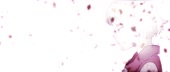 1920x816