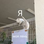 960x960