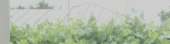 858x224