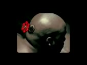 320x240