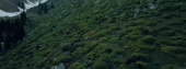 800x300