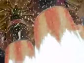 320x240