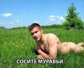 540x440