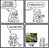 744x739