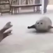360x360