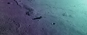 640x266