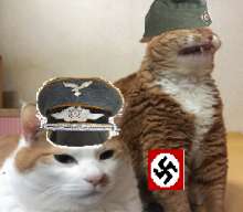 507x444