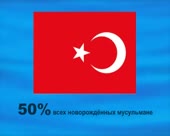 450x360