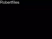 384x288