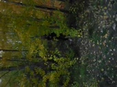 480x360