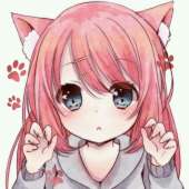 736x736