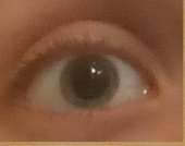 308x244