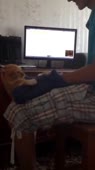 406x720