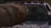 400x220