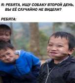 722x800