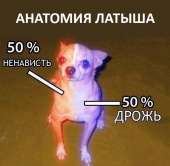 540x528