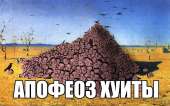 800x502