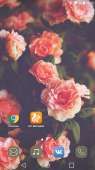 1215x2160