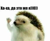 500x419