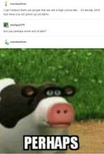 536x789