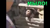 640x360