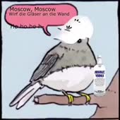 360x360