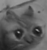 397x419