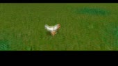 640x360