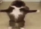 510x360