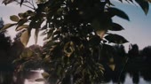 640x360